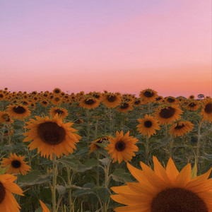 Summer ends cover