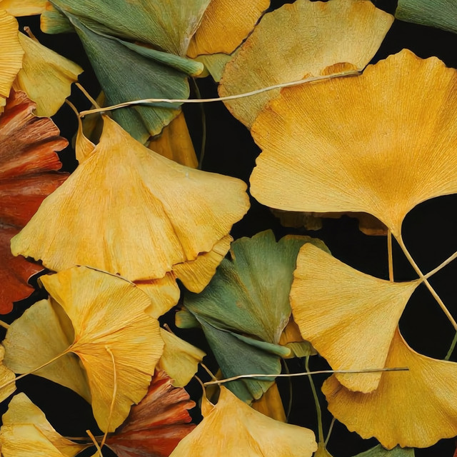 Golden Leaves cover