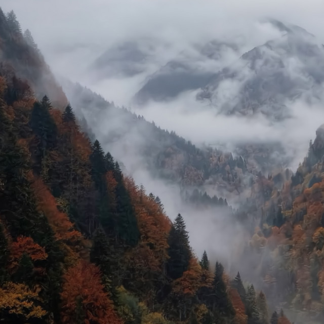 October Morning cover
