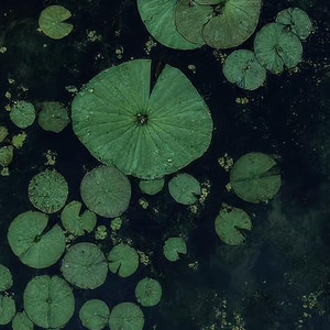 After Rain cover