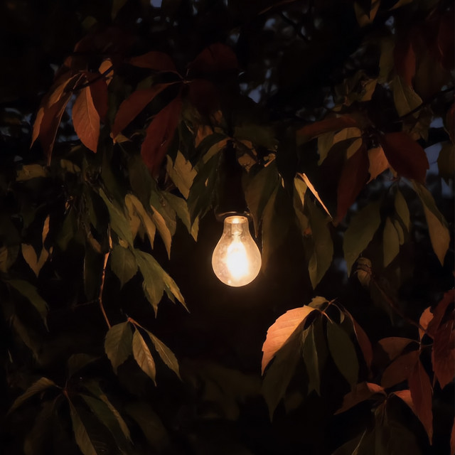 Cozy Season cover