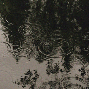 Day and Rain cover
