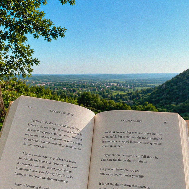 Summer and Books cover