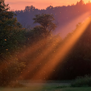 Sunset Fields cover