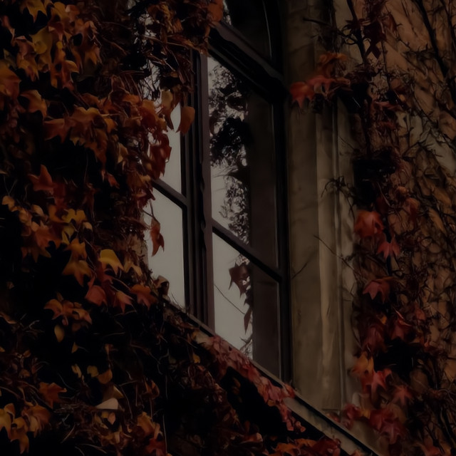 First Fall cover