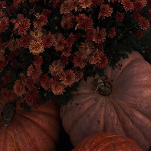 Fall of 2016 cover