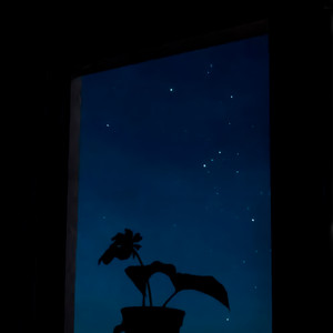Last Night cover