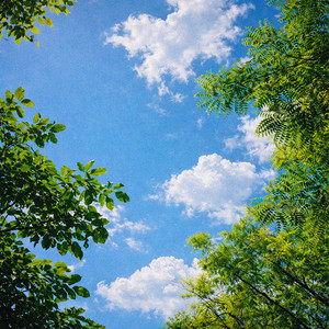 Sunny Day cover